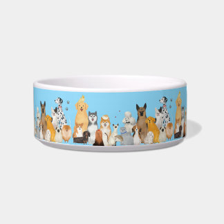 Alle honden samen voerbakje