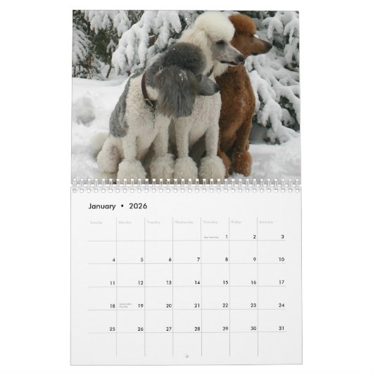 Alle honden zijn afkomstig van de Heaven Calendar Kalender (Jan 2026)