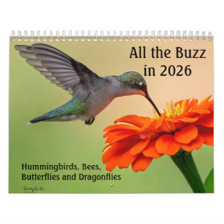 Alle Hooitijd 2026 Agenda Kalender