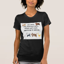 Alle huisdieren zijn therapeutische huisdieren