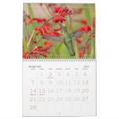 Alle Hummingvogels Agenda Kalender (Feb 2027)