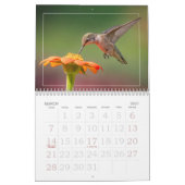Alle Hummingvogels Agenda Kalender (Mar 2027)