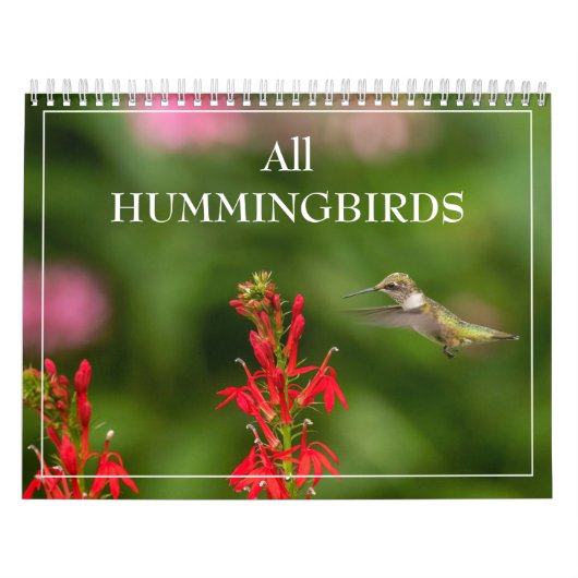Alle Hummingvogels Agenda Kalender (Hoes)