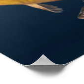 alle jachtvissen poster (Hoek)