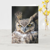 Alle kaarten die van de gelegenheidsnota (Gele Bloem)