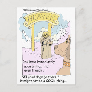 Alle Katten Gaan Naar De Hemel? Grappige Cadeaus & Briefkaart