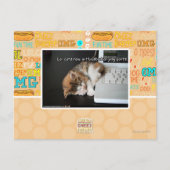 Alle katten met USB Briefkaart (Voorkant)