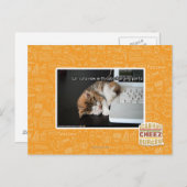 Alle katten met USB Briefkaart (Voorkant / Achterkant)