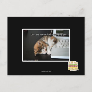 Alle katten met USB Briefkaart