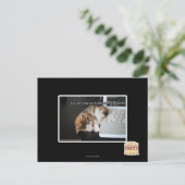 Alle katten met USB Briefkaart (Staand voorkant)