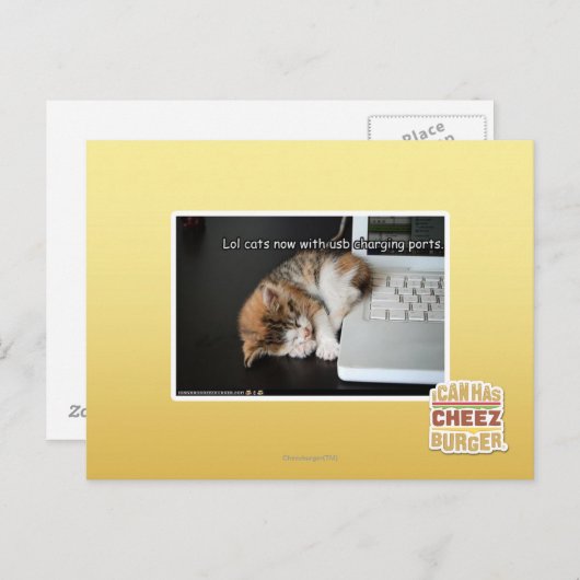 Alle katten met USB Briefkaart (Voorkant / Achterkant)