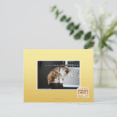 Alle katten met USB Briefkaart (Staand voorkant)