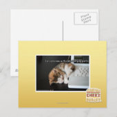 Alle katten met USB Briefkaart (Voorkant / Achterkant)