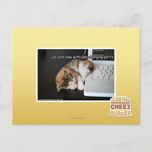 Alle katten met USB Briefkaart (Voorkant)