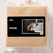 Alle katten met USB Etiket (Insitu)