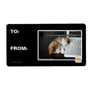 Alle katten met USB Etiket