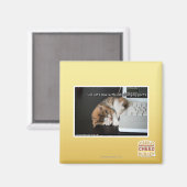 Alle katten met USB Magneet (Voorkant / Achterkant)