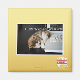 Alle katten met USB Magneet