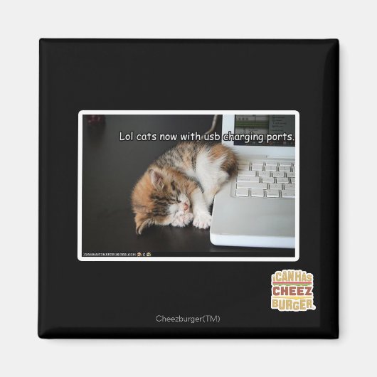 Alle katten met USB Magneet (Voorkant)