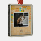 Alle katten met USB Metalen Ornament (Rechts)