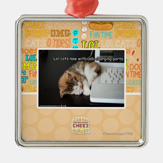 Alle katten met USB Metalen Ornament (Voorkant)