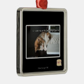 Alle katten met USB Metalen Ornament (Rechts)
