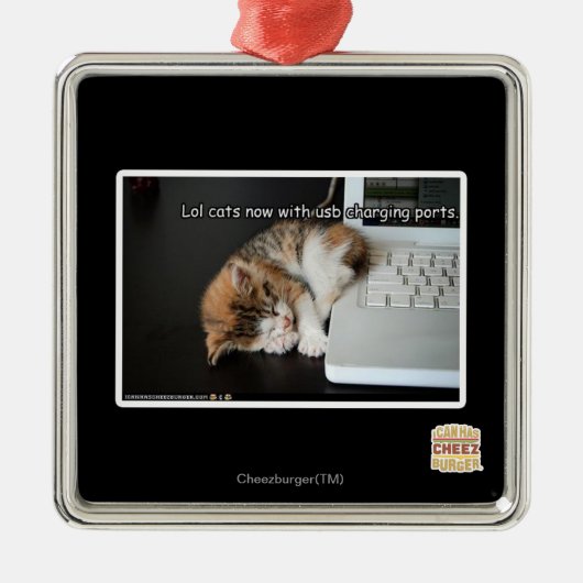 Alle katten met USB Metalen Ornament (Voorkant)
