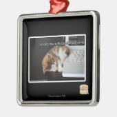 Alle katten met USB Metalen Ornament (Links)