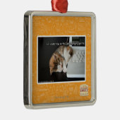 Alle katten met USB Metalen Ornament (Rechts)