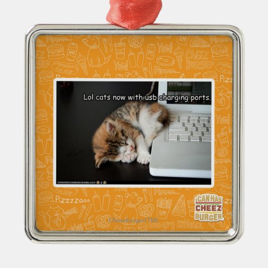 Alle katten met USB Metalen Ornament (Voorkant)