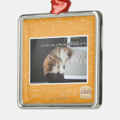 Alle katten met USB Metalen Ornament (Links)