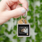 Alle katten met USB Sleutelhanger (Hand)