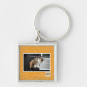 Alle katten met USB Sleutelhanger (Voorkant)