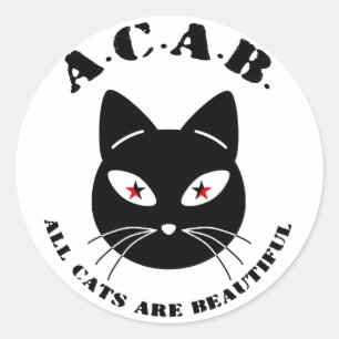 Alle katten zijn prachtig ronde sticker