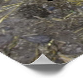 Alle kippen zijn Drama Queens! Poster (Hoek)