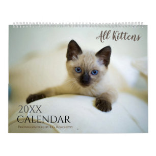 Alle Kittens Schattig Dier 2027 Kalender