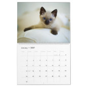 Alle Kittens Schattig Dier 2027 Kalender (Jan 2027)
