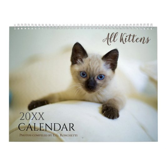Alle Kittens Schattige 2025 Wandkalender Cadeaukat Kalender (Hoes)