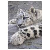 Alle klembord voor afgespeeld (Achterkant)