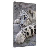 Alle klembord voor afgespeeld (Rechts)