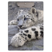 Alle klembord voor afgespeeld (Voorkant)