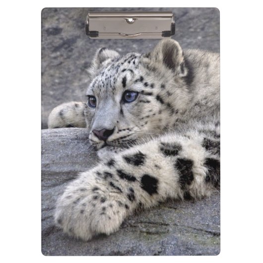 Alle klembord voor afgespeeld (Voorkant)