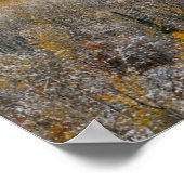 Alle kleuren die worden gespen en | Rocky Mountain Poster (Hoek)