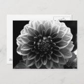 Alle lagen openen briefkaart (Voorkant / Achterkant)