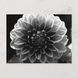 Alle lagen openen briefkaart