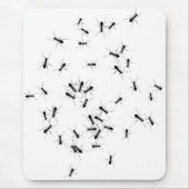 Alle lantaarns. muismat (Voorkant)