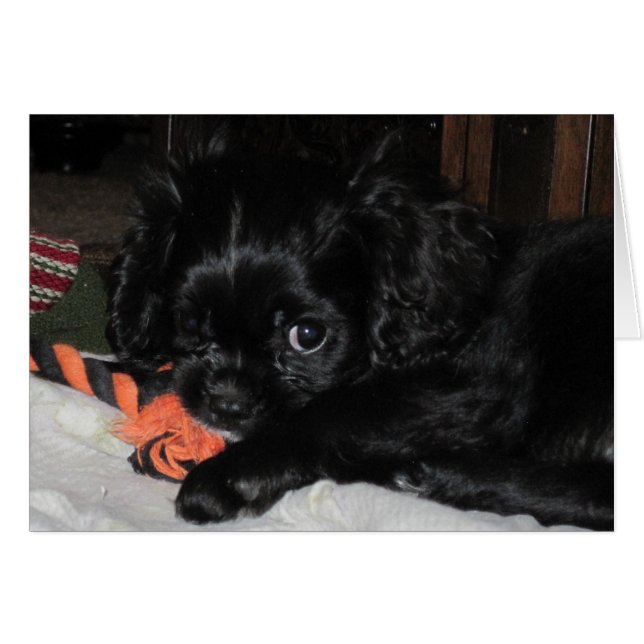 Alle mijn (Voorkant Horizontaal)