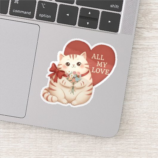 Alle Mijn Liefde Schattige Kat Sticker (Detail)
