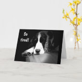 ALLE NACHT-CELEBRATING VOOR "U" OPGESCHREVEN KAART (Gele Bloem)