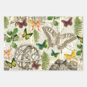 Alle Occasion Antiek Kijk Butterflies en Ferns Inpakpapier Vel (Voorkant)